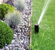 Water Awareness : Irrigation Landscape Strategies and Devices