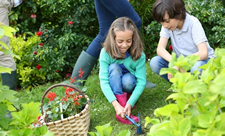 Gardening for Kids