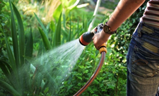 Lawn Watering Guidelines & Resources