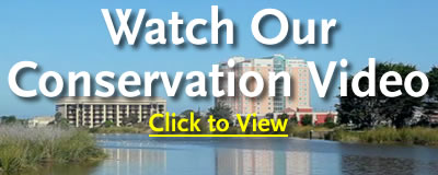 Water Awarness Committee Conservation Video