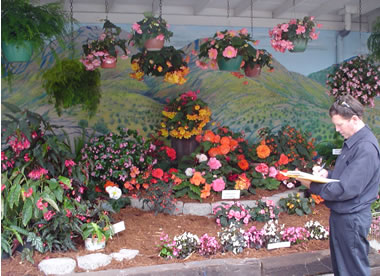 WaterWise Gardening