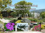 Water-Wise Gardening